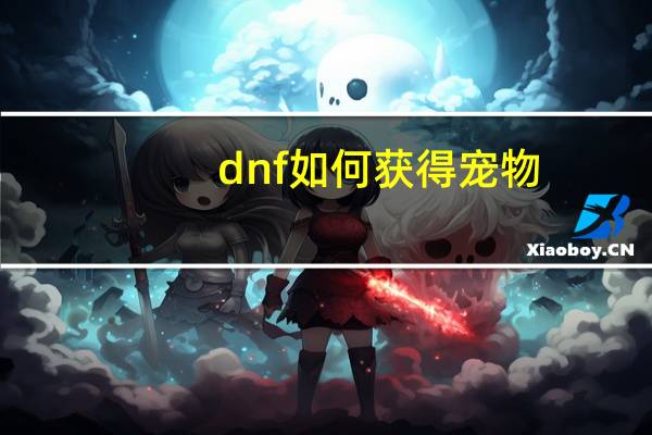 dnf如何获得宠物
