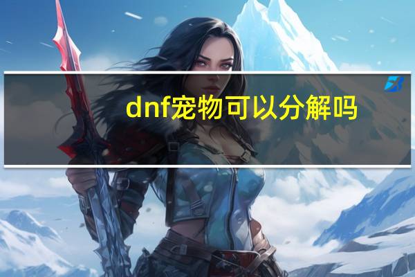 dnf宠物可以分解吗