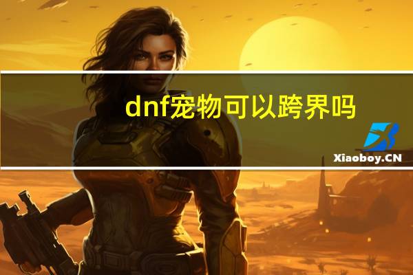 dnf宠物可以跨界吗