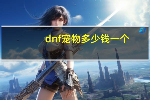 dnf宠物多少钱一个