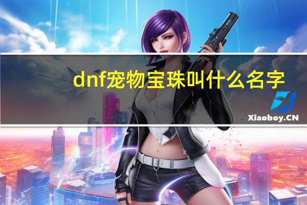 dnf宠物宝珠叫什么名字