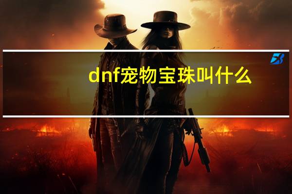 dnf宠物宝珠叫什么