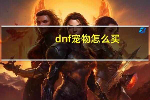 dnf宠物怎么买