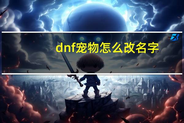 dnf宠物怎么改名字