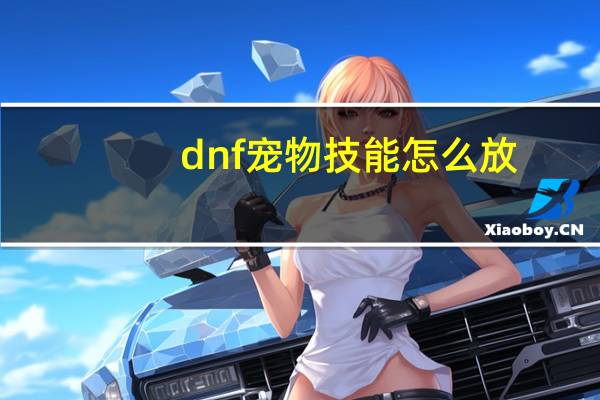 dnf宠物技能怎么放