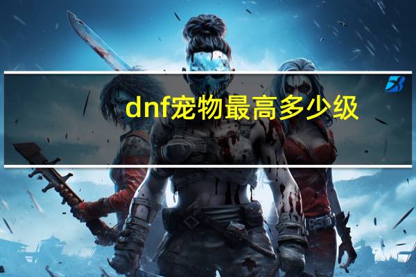 dnf宠物最高多少级