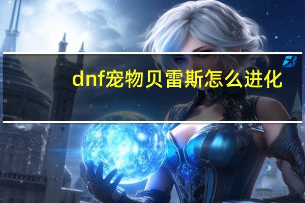 dnf宠物贝雷斯怎么进化（dnf宠物贝雷斯）