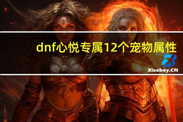 dnf心悦专属12个宠物属性（dnf心悦专属12个宠物属性是什么）