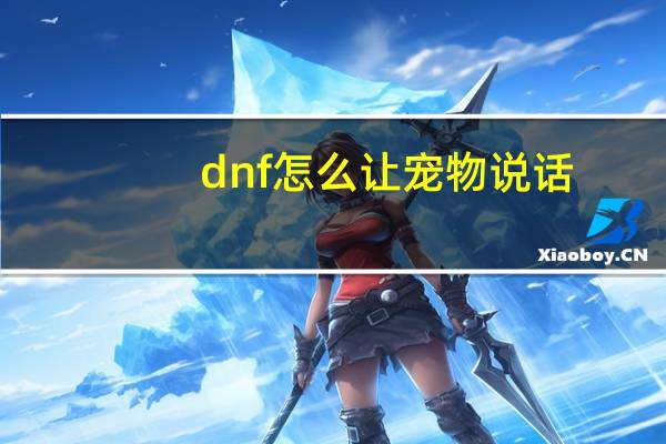 dnf怎么让宠物说话
