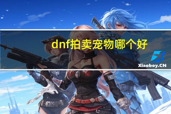 dnf拍卖宠物哪个好