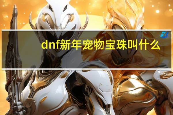 dnf新年宠物宝珠叫什么