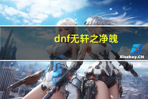 dnf无轩之净魄（无轩之净魄）