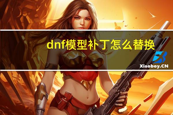dnf模型补丁怎么替换（dnf模型补丁站）