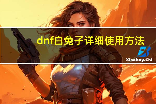 dnf白兔子详细使用方法（dnf白兔子属性）