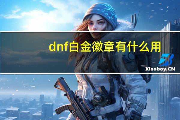 dnf白金徽章有什么用（dnf白金徽章合成）