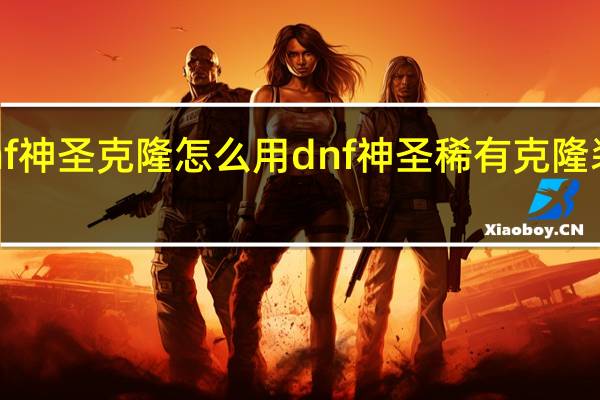 dnf神圣克隆怎么用 dnf神圣稀有克隆装扮礼盒