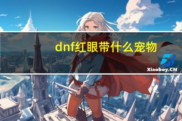 dnf红眼带什么宠物