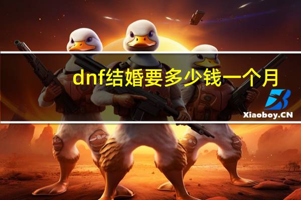 dnf结婚要多少钱一个月（dnf结婚要多少钱）
