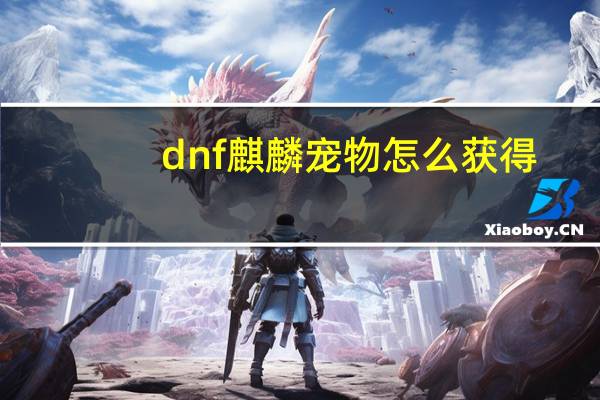 dnf麒麟宠物怎么获得