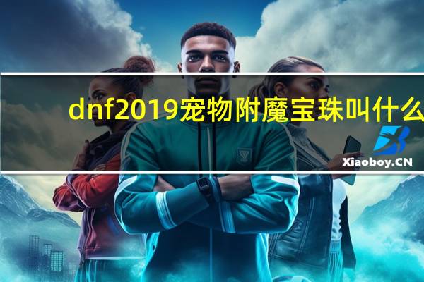 dnf2019宠物附魔宝珠叫什么