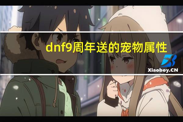 dnf9周年送的宠物属性