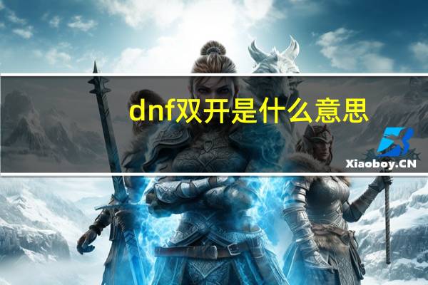 dnf双开是什么意思