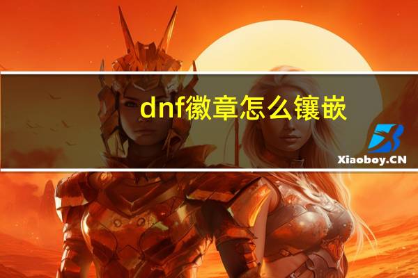 dnf徽章怎么镶嵌