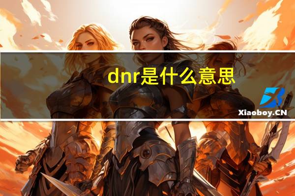 dnr是什么意思