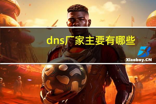 dns厂家主要有哪些