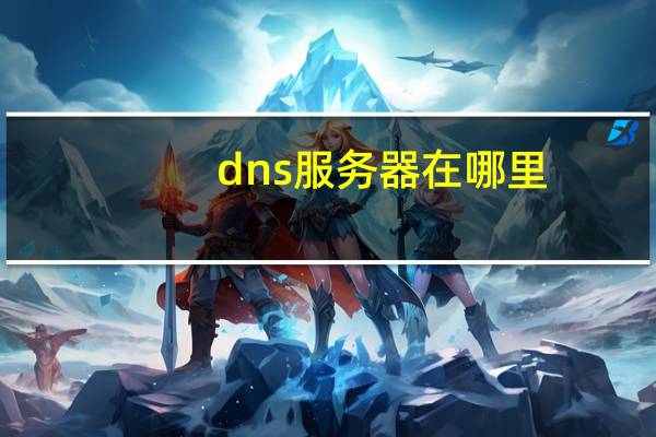 dns服务器在哪里