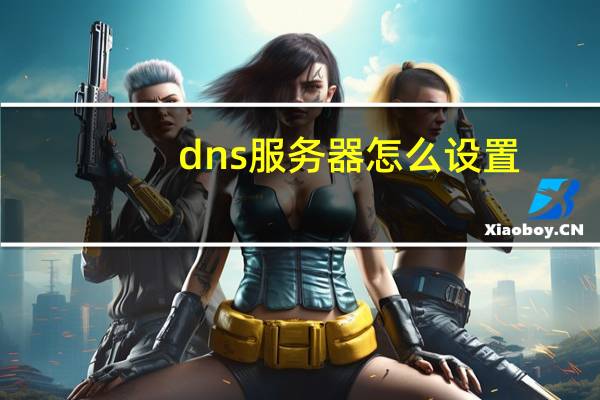 dns服务器怎么设置（DNS服务）