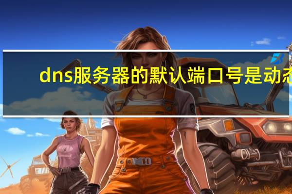 dns服务器的默认端口号是动态（dns服务器的默认端口号是()端口）