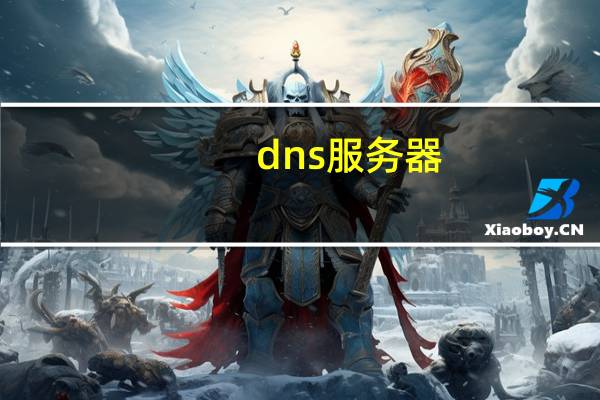 dns 服务器
