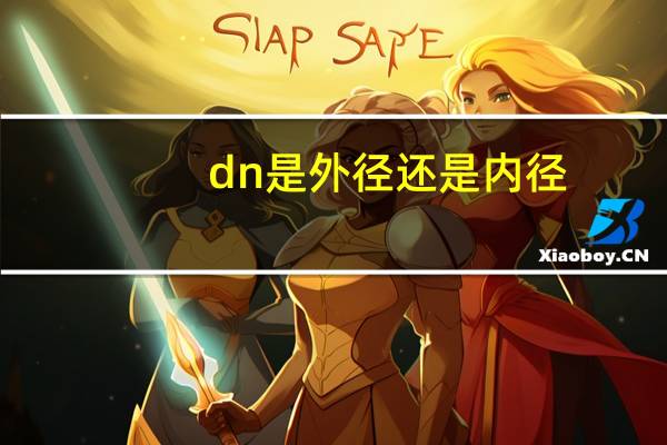 dn是外径还是内径