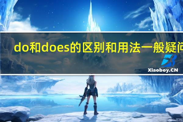 do和does的区别和用法一般疑问句
