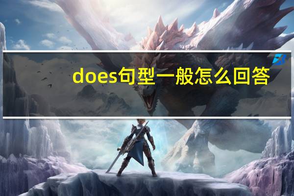 does句型一般怎么回答