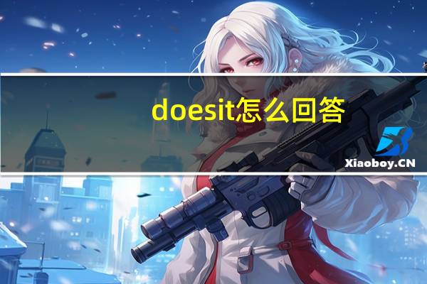 does it怎么回答