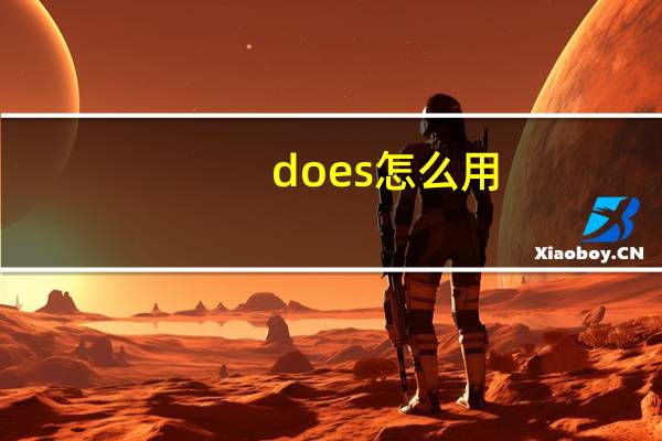 does怎么用