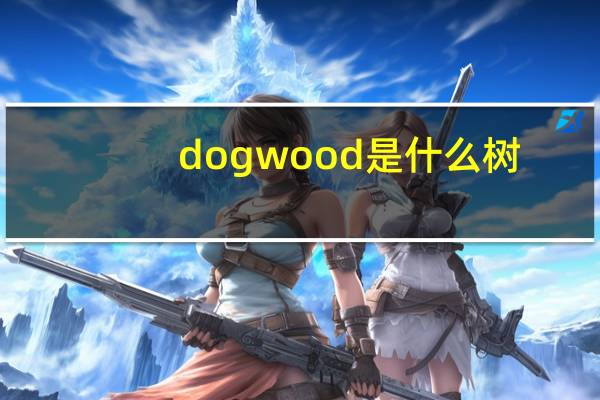 dogwood是什么树