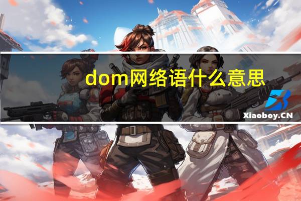 dom网络语什么意思