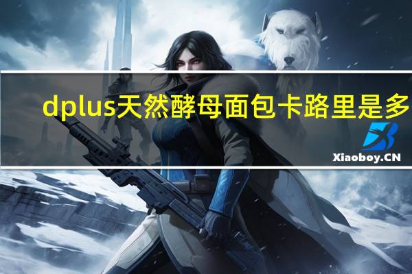 dplus 天然酵母面包卡路里是多少