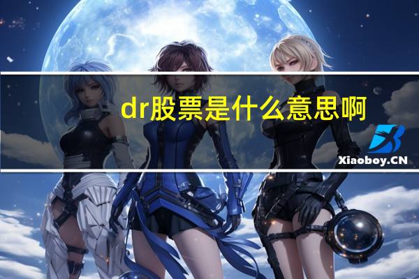dr股票是什么意思啊