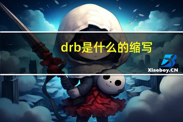 drb是什么的缩写