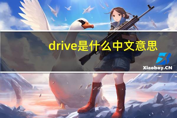 drive是什么中文意思