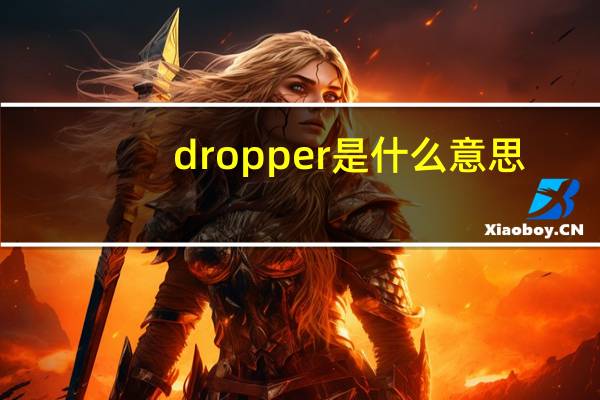 dropper是什么意思?