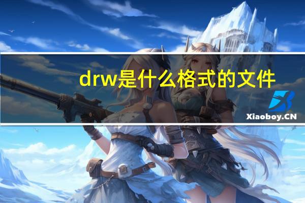 drw是什么格式的文件