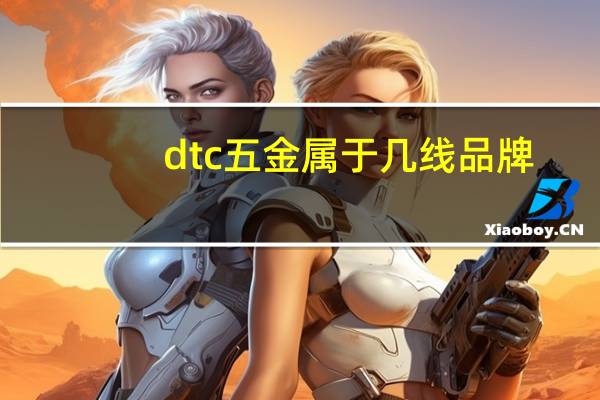 dtc五金属于几线品牌（dtc）