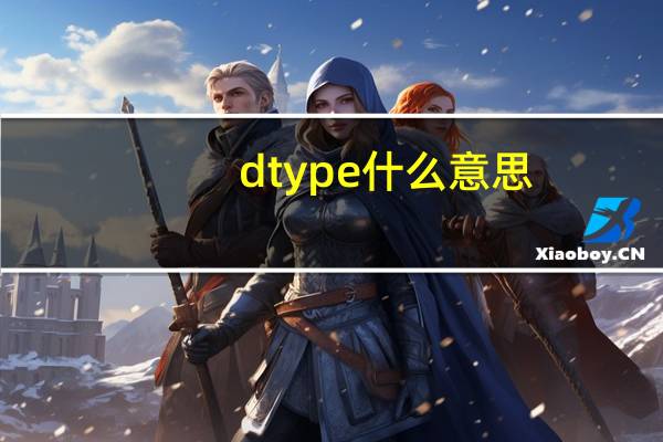 dtype什么意思