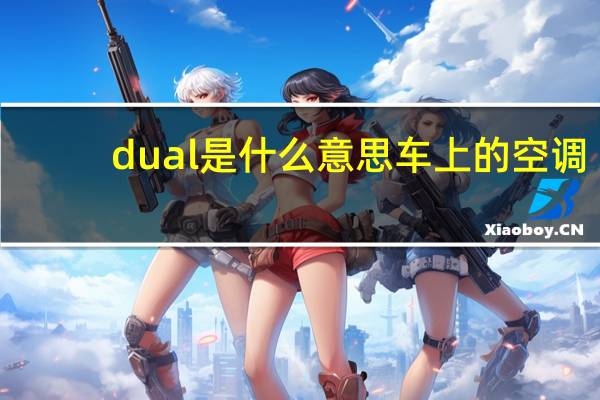 dual是什么意思车上的空调