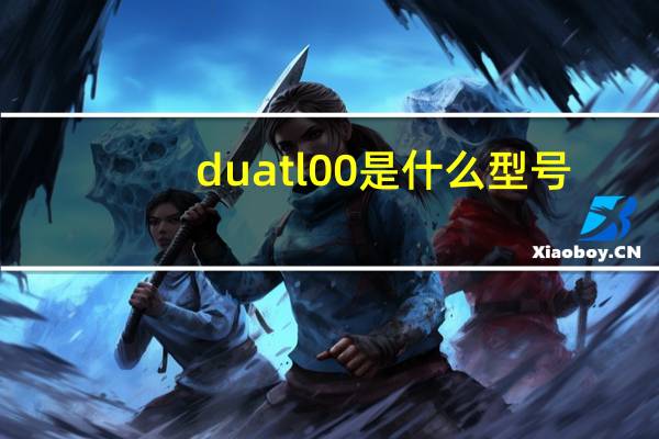 duatl00是什么型号